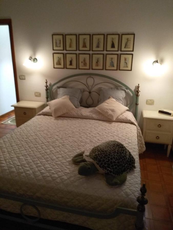 Montepulciano StazioneCasa Di Nonna Cateアパートメント エクステリア 写真